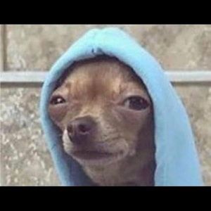 Meet your Posher, Abigale